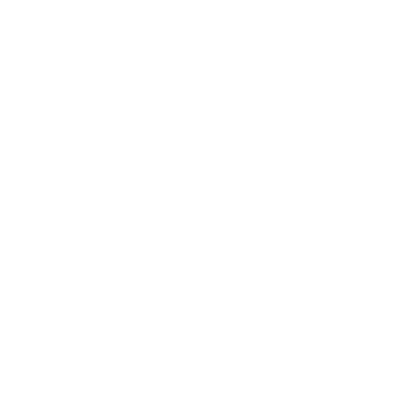 Bitsy's Stay At Home Circus Show